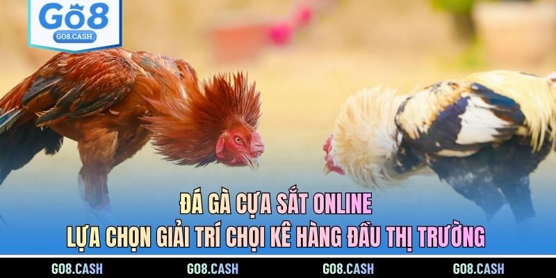 Đá gà cựa sắt online - Lựa chọn giải trí chọi kê hàng đầu thị trường
